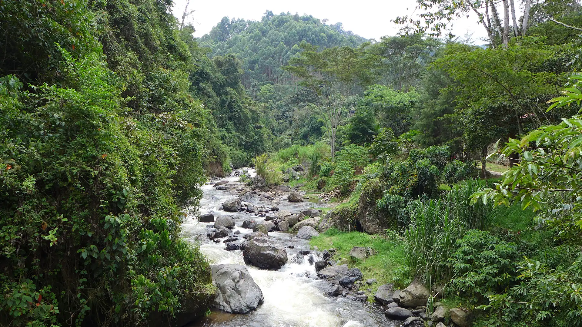 Buen Vivir in Kolumbien – eine Reise zu einem anderen Lebensverständnis - Naturreise Kolumbien
