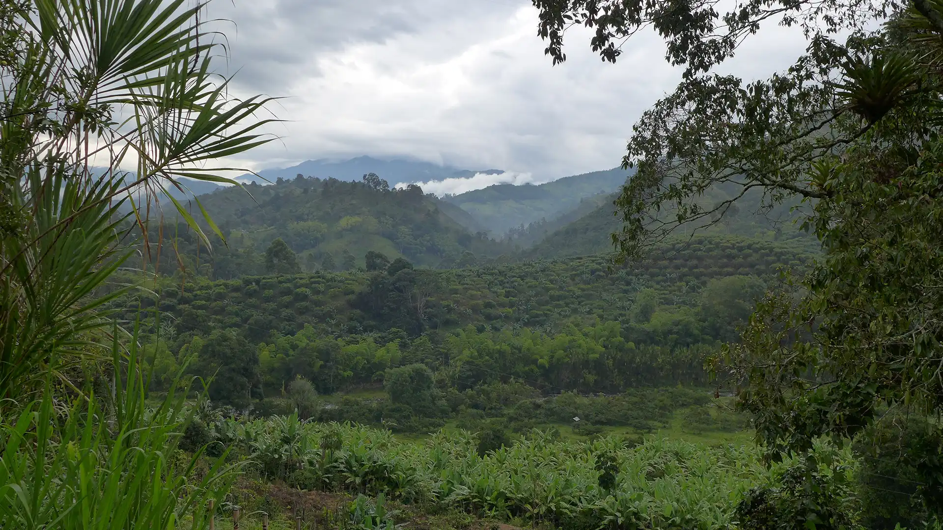 Kolumbienurlaub Reiseagentur