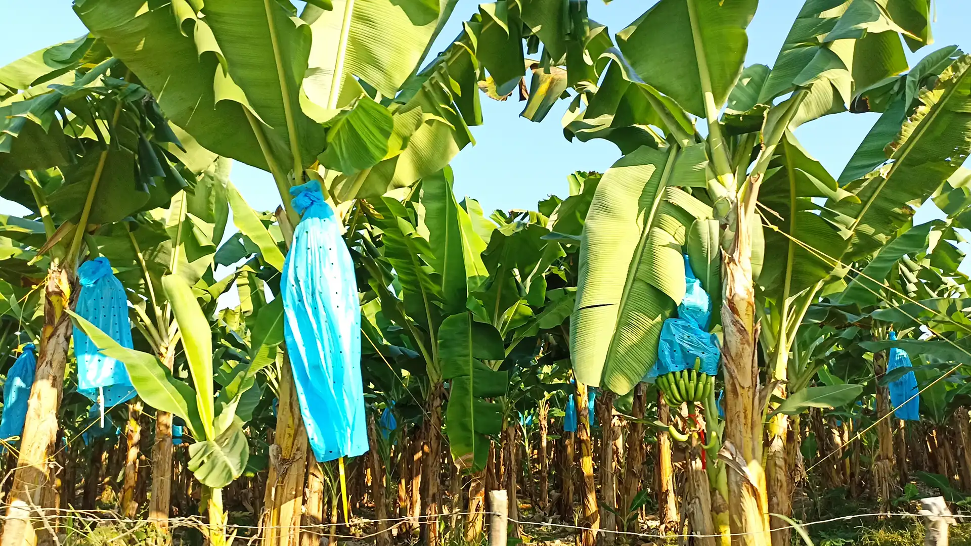 Urlaub in Kolumbien - Santa Marta Urlaub buchen