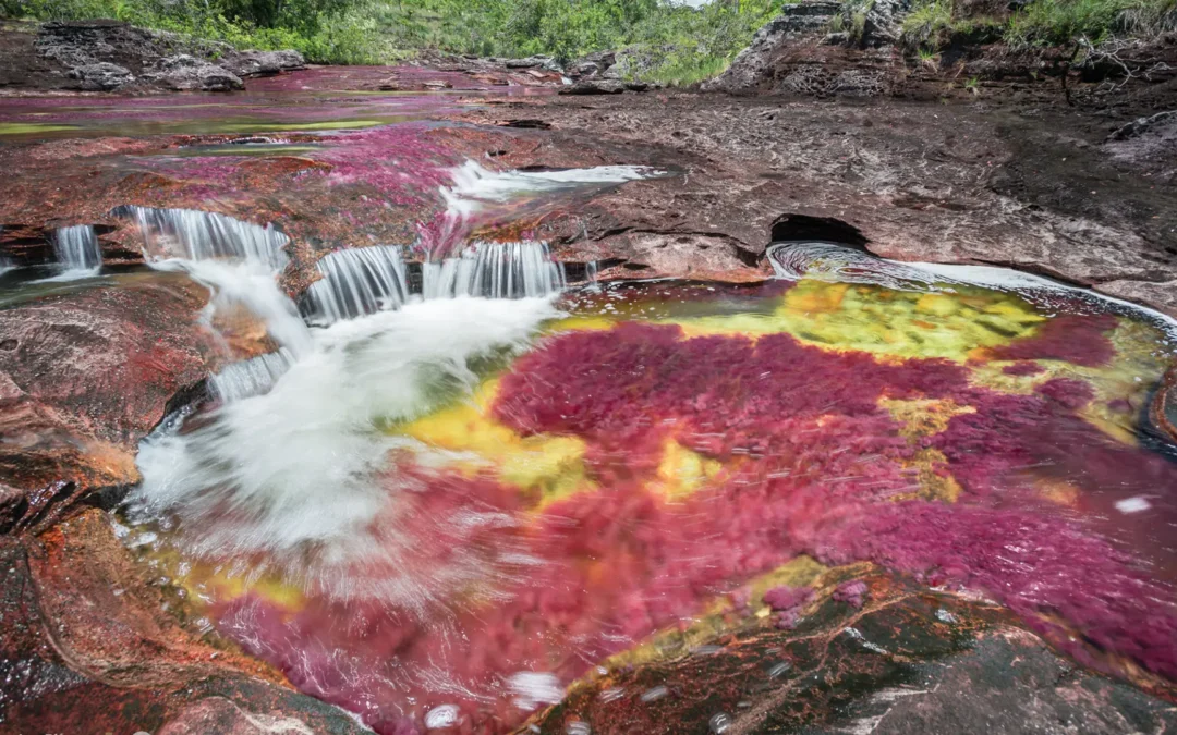 Saisonale Highlights: Regenbogenfluss, Walbeobachtung und Andentundra