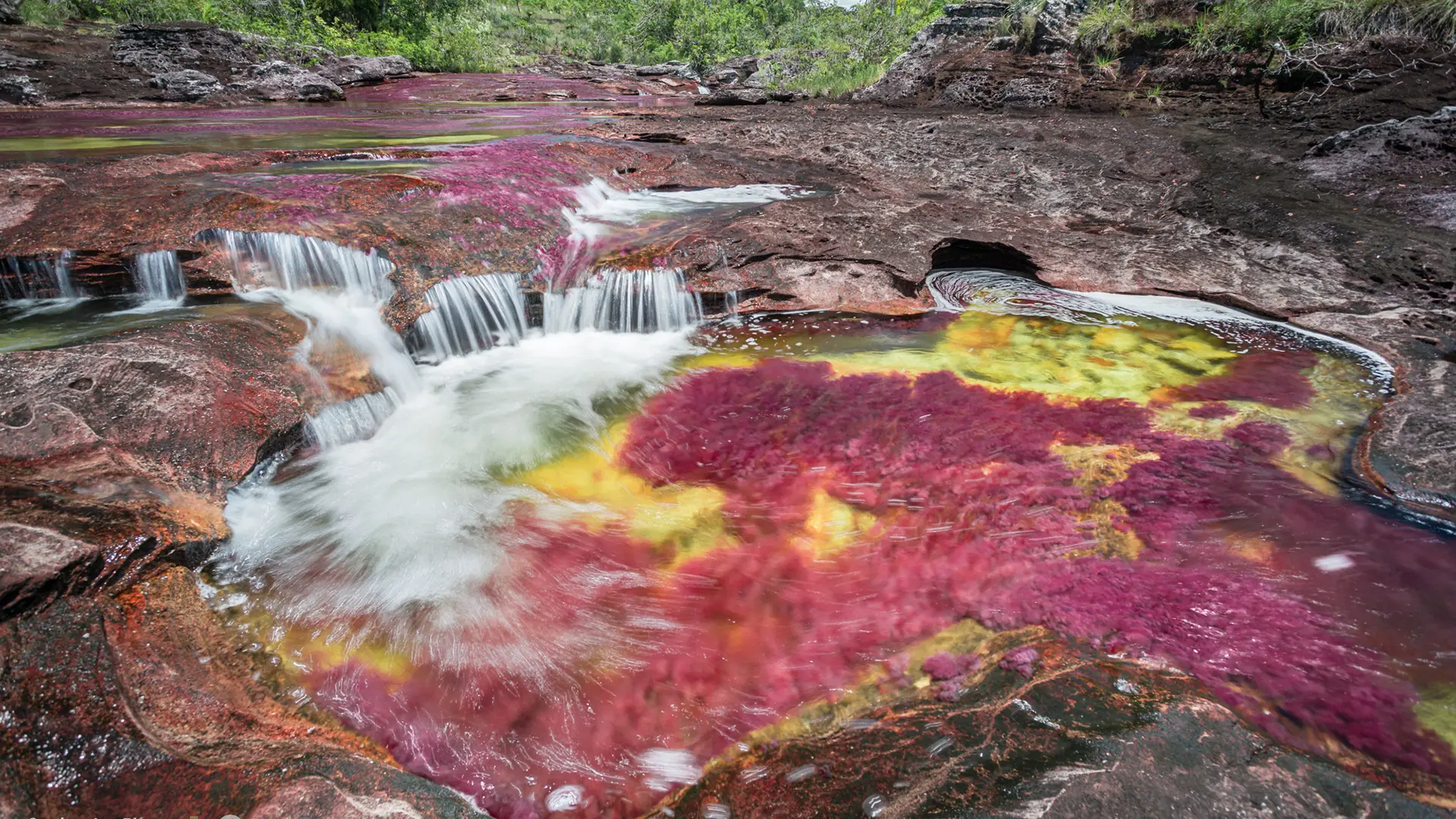Saisonale Highlights: Regenbogenfluss, Walbeobachtung und Andentundra