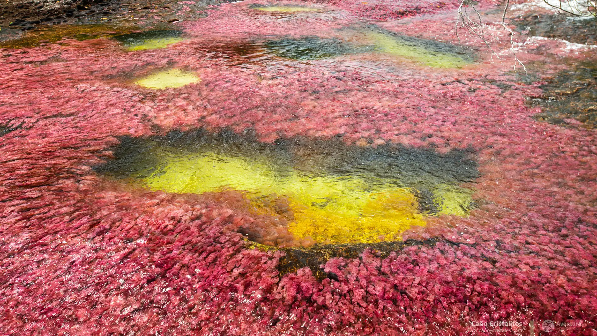 Urlaub in Kolumbien - Kolumbienreisen - Saisonreise nach Kolumbien