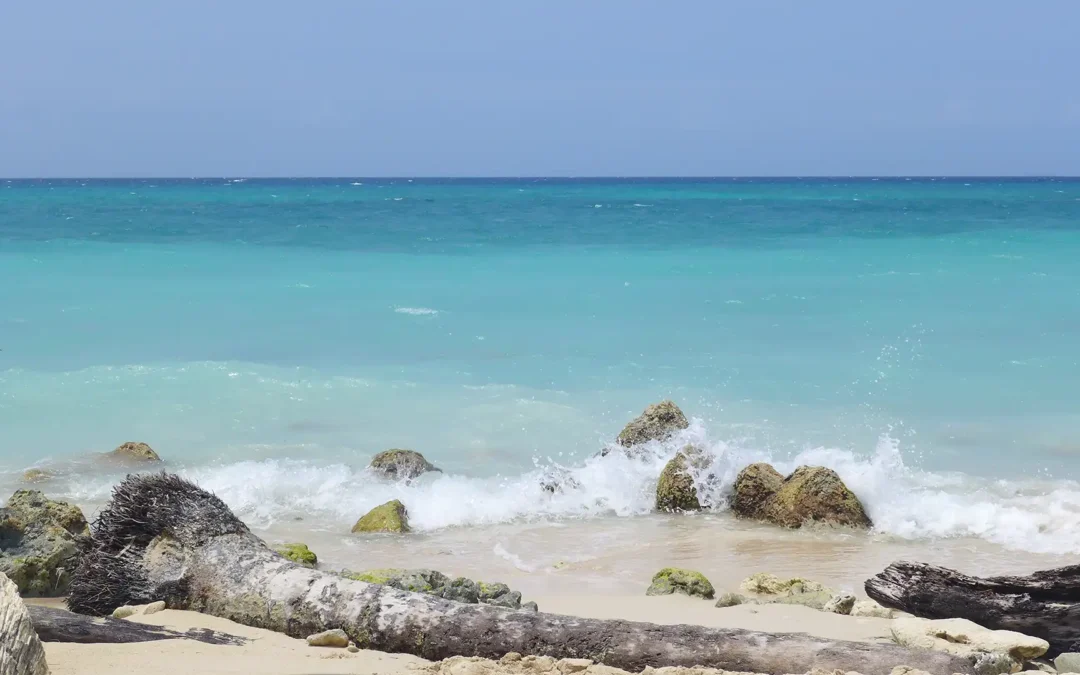 Highlights der kolumbianischen Karibik