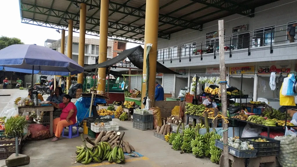 Leben säen - Reisen nach Kolumbien Blog