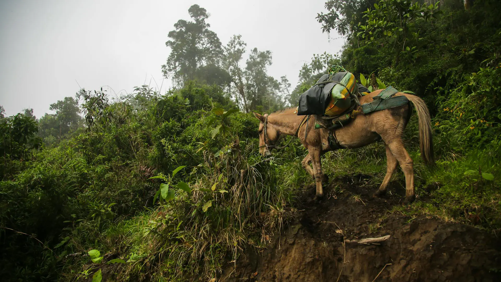 Putumayo Wasserfälle, Regenwald, indigene Kultur - Naturreise in Kolumbien