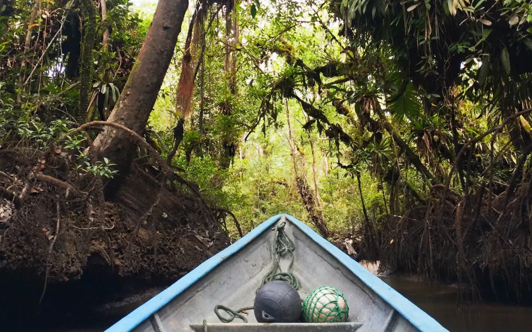 Wilder Pazifik: Naturwunder und afrokolumbianische Kultur zwischen Regenwald und Meer